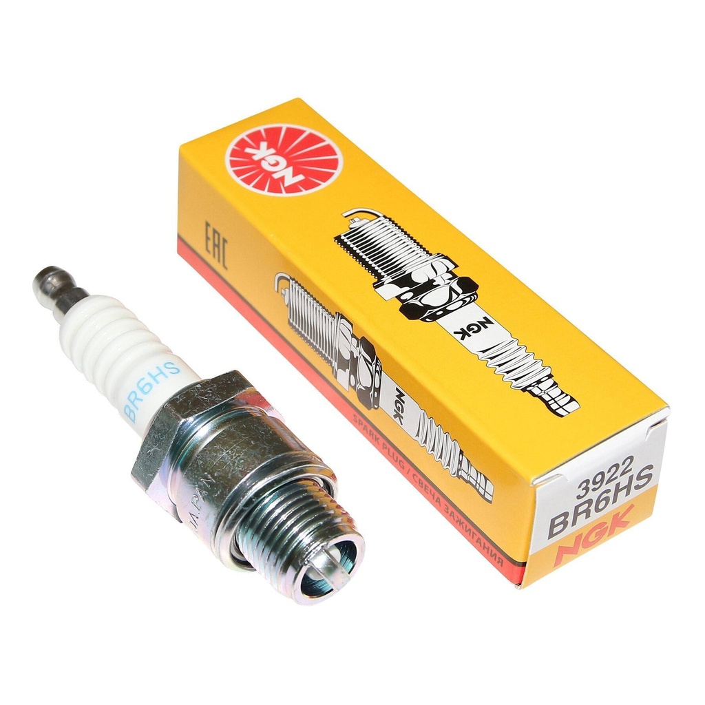 BOUGIE NGK - (BR6HS)