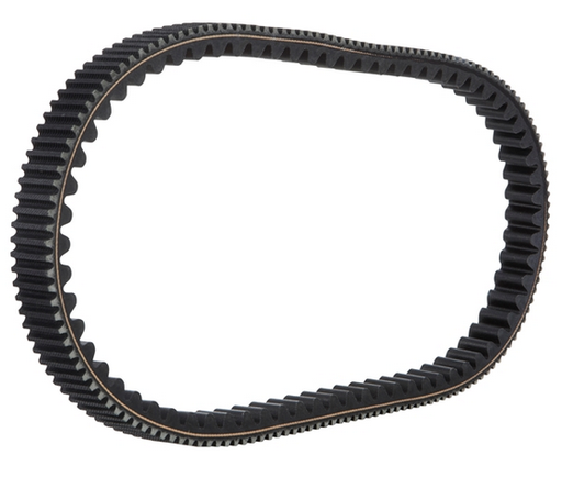 [1a009598] COURROIE X9-XEVO-X8-MP3-GTS 250CC