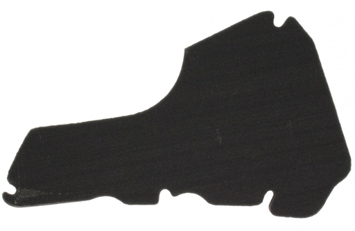 [436478] FILTRE AIR M01/C01